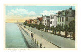 Buy East Battery, Charleston, South Carolina at AllPosters.com