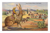 Texas Cowboy Herding from Jack Rabbit