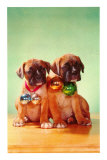 Boxer Puppies with Christmas Bulbs
