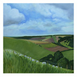 Buy Summer Fields on the South Downs at AllPosters.com