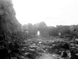 Tin Mine