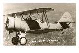 Buy Navy N3N Trainer Biplane at AllPosters.com
