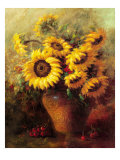 Maria's Sunflowers