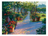 Siena Arbor
