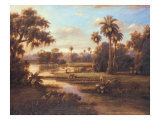 White Cranes