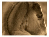 Thoughtful
