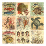 Under The Sea II
