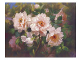 Full Blossom II