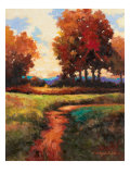 Late Noon Path I
