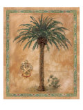 Phoenix Canariensis