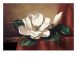 Buy Magnolia Vignette l at AllPosters.com