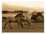 Horse Trio