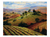 Tuscan Afternoon