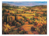 Umbria Panorama