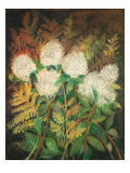 Buy Hydrangeas and Ferns at AllPosters.com