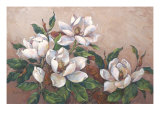 Magnolia Inspiration