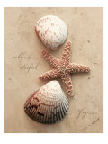 Seaside Collection I