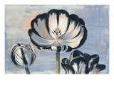 Three Tulips