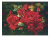Roses Are Red