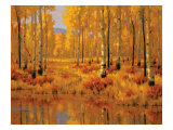 Forest in Gold