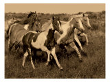 Horses Running II