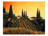 Vineyards of Tuscany