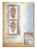 Buy Leaf II at AllPosters.com