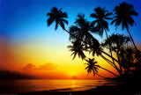 Buy Beach - Dusk at AllPosters.com