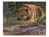 September Grizzly