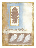 Buy Leaf IV at AllPosters.com