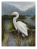 Buy Morning Egret at AllPosters.com