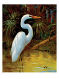 Buy Tropical Egret I at AllPosters.com