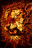Buy Fire Lion at AllPosters.com