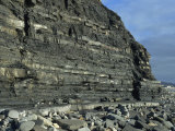 Strata in Blue Lias, Lyme Regis, Jurassic Coast, UNESCO World Heritage Site, Dorset, England, UK Photographic Print