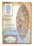 Buy Leaf III at AllPosters.com