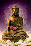 Buy Buddha at AllPosters.com