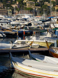 Santa Margherita Ligure, Riviera Di Levante, Liguria, Italy, Europe