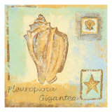 Buy Pleurploca Gigantea at AllPosters.com