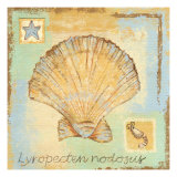 Buy Lyropecten Nodosus at AllPosters.com
