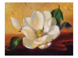 Magnolia Glow II