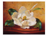 Buy Magnolia Glow I at AllPosters.com