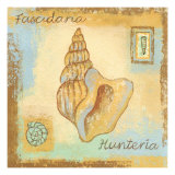Buy Fascidaria Hunteria at AllPosters.com