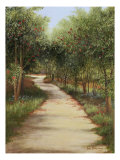 Buy Fallen Petals at AllPosters.com