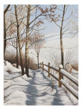 Buy Fresh Snow at AllPosters.com