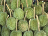 Buy Durian Fruit Piled Up for Sale in Bangkok, Thailand, Southeast Asia, Asia at AllPosters.com