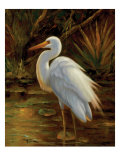 Buy Tropical Egret II at AllPosters.com