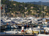 Santa Margherita Ligure, Riviera Di Levante, Liguria, Italy, Europe