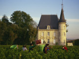 Chateau Pichon Longueville, Medoc, Pauillac, Aquitaine, France, Europe