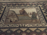 Mosaic Floor from a Roman House, Kos Museum, Dodecanese Islands, Greek Islands, Greece