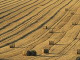 Straw Bales in a Field after Harvesting on the South Downs in Sussex, England, United Kingdom